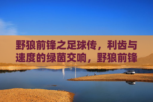 野狼前锋之足球传，利齿与速度的绿茵交响，野狼前锋之足球传，利齿与速度的绿茵交响