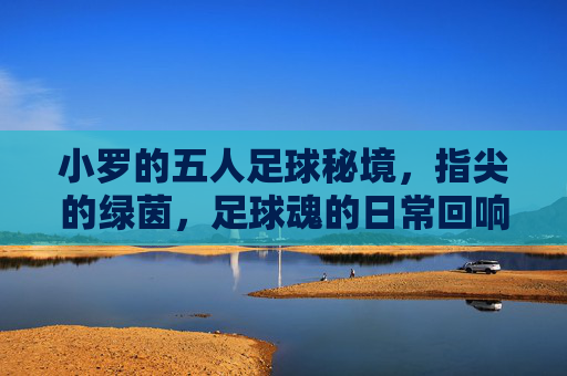 小罗的五人足球秘境,指尖的绿茵,足球魂的日常回响,小罗的五人足球秘境,指尖的绿茵与足球魂的日常回响