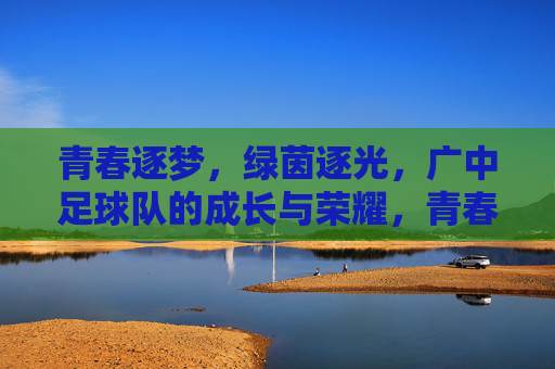 青春逐梦，绿茵逐光，广中足球队的成长与荣耀，青春逐梦，绿茵逐光，广中足球队的成长与荣耀