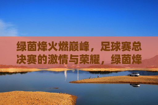 绿茵烽火燃巅峰，足球赛总决赛的激情与荣耀，绿茵烽火燃巅峰，足球赛总决赛的激情与荣耀