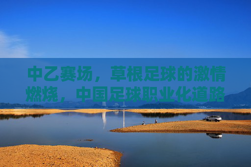 中乙赛场，草根足球的激情燃烧，中国足球职业化道路上的活化石与希望之光，中乙赛场，草根足球的激情燃烧，中国足球职业化道路的活化石与希望之光
