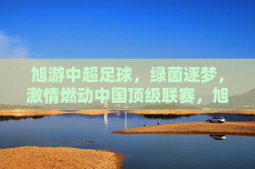 旭游中超足球,绿茵逐梦,激情燃动中国顶级联赛,旭游中超,绿茵逐梦,激情燃动中国顶级联赛