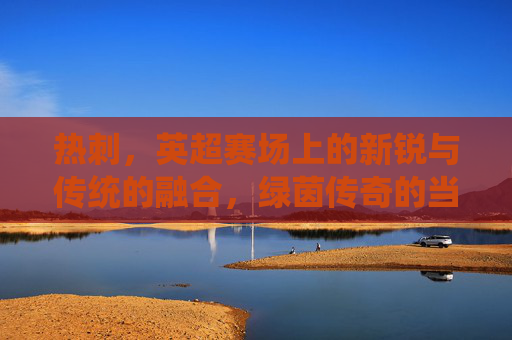热刺，英超赛场上的新锐与传统的融合，绿茵传奇的当代演绎，热刺，英超赛场新锐与传统的融合，绿茵传奇的当代演绎