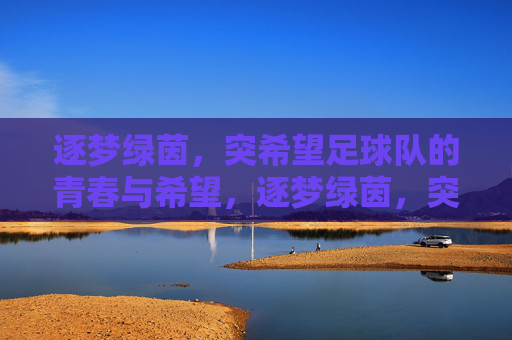 逐梦绿茵,突希望足球队的青春与希望,逐梦绿茵,突希望足球队的青春与希望