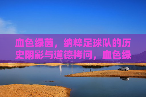 血色绿茵,纳粹足球队的历史阴影与道德拷问,血色绿茵,纳粹足球队的历史阴影与道德拷问
