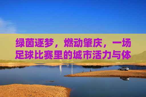 绿茵逐梦，燃动肇庆，一场足球比赛里的城市活力与体育精神，绿茵逐梦，燃动肇庆，一场足球比赛里的城市活力与体育精神