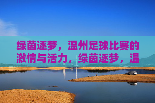 绿茵逐梦，温州足球比赛的激情与活力，绿茵逐梦，温州足球比赛的激情与活力