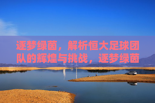 逐梦绿茵，解析恒大足球团队的辉煌与挑战，逐梦绿茵，解析恒大足球团队的辉煌与挑战