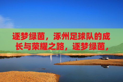 逐梦绿茵，涿州足球队的成长与荣耀之路，逐梦绿茵，涿州足球队的成长与荣耀之路