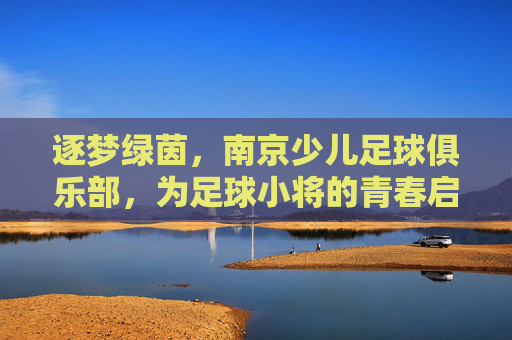 逐梦绿茵，南京少儿足球俱乐部，为足球小将的青春启航，逐梦绿茵，南京少儿足球俱乐部，为足球小将的青春启航