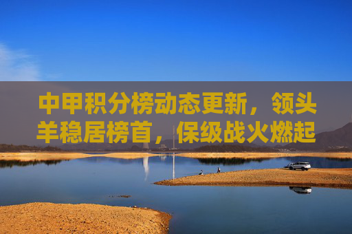 中甲积分榜动态更新,领头羊稳居榜首,保级战火燃起,各队竞争白热化,中甲积分榜动态更新,领头羊稳居榜首,保级战火燃起竞争白热化