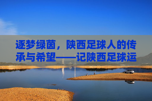 逐梦绿茵，陕西足球人的传承与希望——记陕西足球运动员的奋斗足迹，逐梦绿茵，陕西足球人的传承与希望——记陕西足球运动员的奋斗足迹