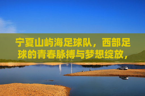 宁夏山屿海足球队,西部足球的青春脉搏与梦想绽放,宁夏山屿海足球队,西部足球的青春脉搏与梦想绽放
