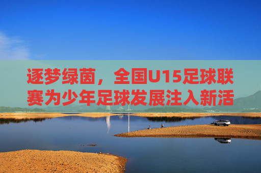 逐梦绿茵，全国U15足球联赛为少年足球发展注入新活力，逐梦绿茵，全国U15足球联赛为少年足球发展注入新活力