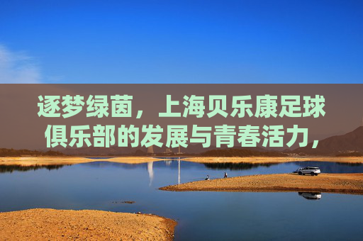 逐梦绿茵，上海贝乐康足球俱乐部的发展与青春活力，逐梦绿茵，上海贝乐康足球俱乐部的发展与青春活力