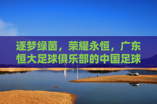 逐梦绿茵，荣耀永恒，广东恒大足球俱乐部的中国足球传奇，逐梦绿茵，荣耀永恒，广东恒大足球俱乐部的中国足球传奇