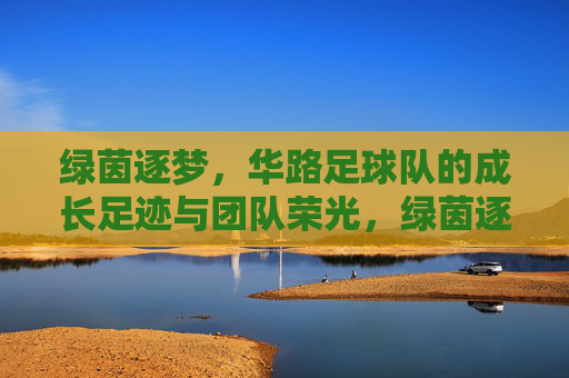 绿茵逐梦，华路足球队的成长足迹与团队荣光，绿茵逐梦，华路足球队的成长足迹与团队荣光