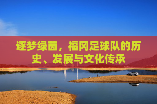 逐梦绿茵,福冈足球队的历史、发展与文化传承