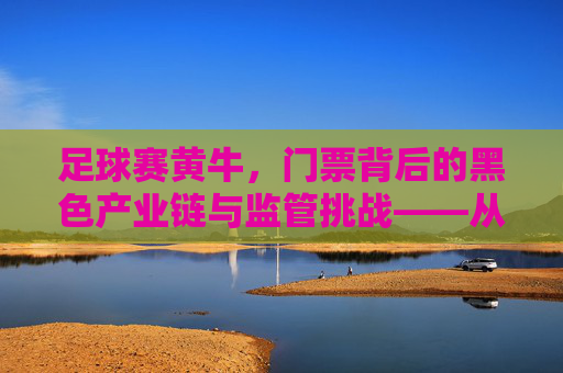 足球赛黄牛,门票背后的黑色产业链与监管挑战——从需求到乱象的深层剖析