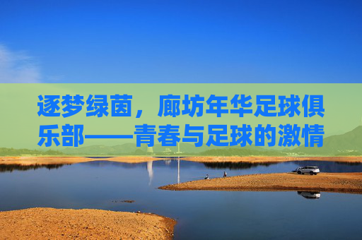 逐梦绿茵,廊坊年华足球俱乐部——青春与足球的激情碰撞,逐梦绿茵,廊坊年华足球俱乐部——青春与足球的激情碰撞