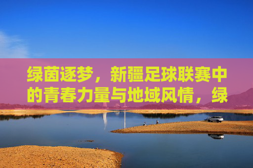 绿茵逐梦，新疆足球联赛中的青春力量与地域风情，绿茵逐梦，新疆足球联赛中的青春力量与地域风情