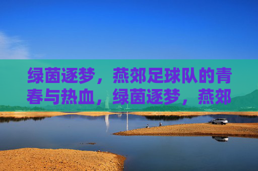 绿茵逐梦，燕郊足球队的青春与热血，绿茵逐梦，燕郊足球队的青春与热血