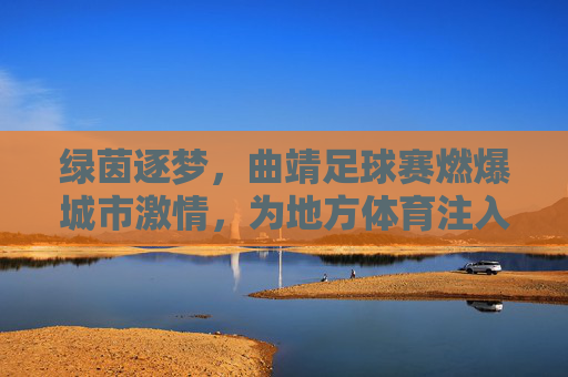 绿茵逐梦,曲靖足球赛燃爆城市激情,为地方体育注入新活力,绿茵逐梦,曲靖足球赛燃爆城市激情,为地方体育注入新活力