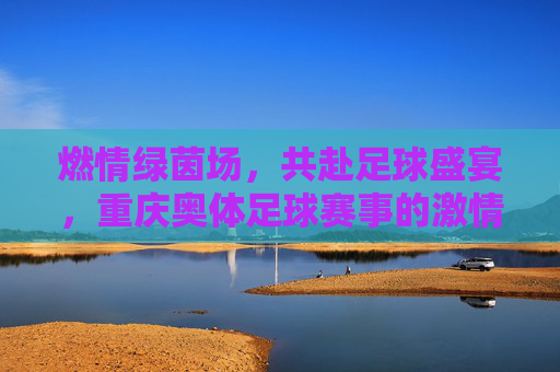 燃情绿茵场,共赴足球盛宴,重庆奥体足球赛事的激情与荣耀