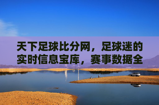 天下足球比分网，足球迷的实时信息宝库，赛事数据全解析，天下足球比分网，足球迷的实时信息宝库，赛事数据全解析