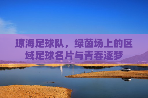琼海足球队,绿茵场上的区域足球名片与青春逐梦