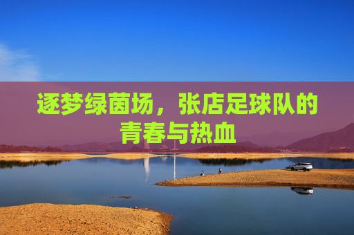 逐梦绿茵场,张店足球队的青春与热血