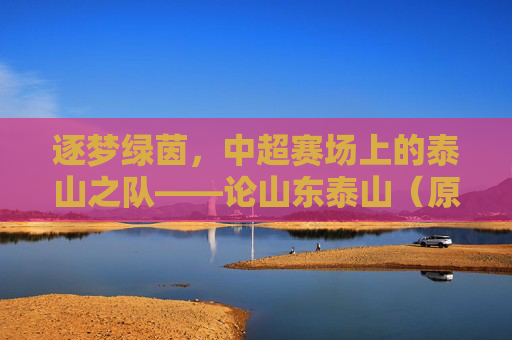 逐梦绿茵，中超赛场上的泰山之队——论山东泰山（原山东鲁能）在中超联赛中的辉煌与传承，逐梦绿茵，中超赛场上的泰山之队——论山东泰山（原山东鲁能）在中超联赛中的辉煌与传承
