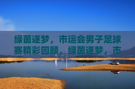 绿茵逐梦，市运会男子足球赛精彩回顾，绿茵逐梦，市运会男子足球赛精彩回顾