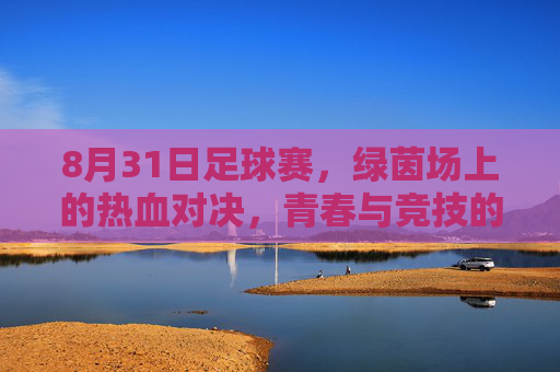 8月31日足球赛，绿茵场上的热血对决，青春与竞技的交响曲，8月31日足球赛，绿茵场上的热血对决，青春与竞技的交响曲