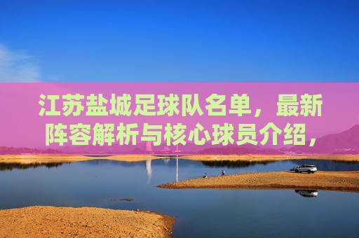 江苏盐城足球队名单,最新阵容解析与核心球员介绍,江苏盐城足球队最新名单,阵容解析与核心球员介绍