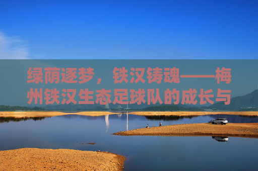 绿荫逐梦，铁汉铸魂——梅州铁汉生态足球队的成长与荣耀之路，绿荫逐梦，铁汉铸魂——梅州铁汉生态足球队的成长与荣耀之路