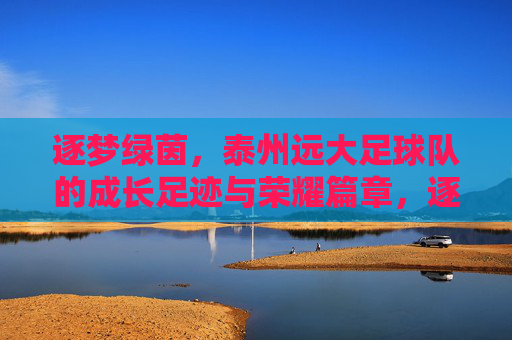 逐梦绿茵，泰州远大足球队的成长足迹与荣耀篇章，逐梦绿茵，泰州远大足球队的成长足迹与荣耀篇章