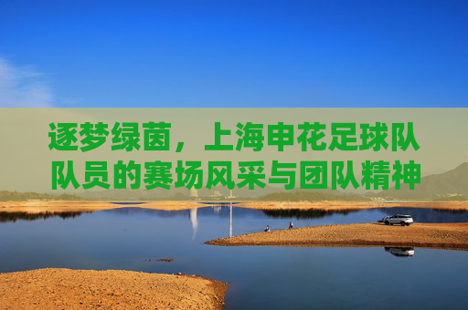 逐梦绿茵，上海申花足球队队员的赛场风采与团队精神，逐梦绿茵，上海申花足球队队员的赛场风采与团队精神