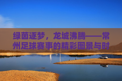 绿茵逐梦,龙城沸腾——常州足球赛事的精彩图景与时代脉搏,绿茵逐梦,龙城沸腾——常州足球赛事的精彩图景与时代脉搏
