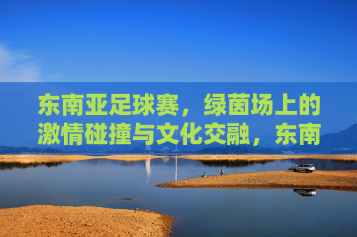 东南亚足球赛，绿茵场上的激情碰撞与文化交融，东南亚足球赛，绿茵场上的激情碰撞与文化交融