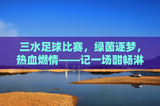 三水足球比赛，绿茵逐梦，热血燃情——记一场酣畅淋漓的社区足球盛宴，三水足球比赛，绿茵逐梦，热血燃情——记一场酣畅淋漓的社区足球盛宴