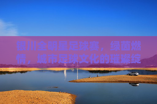 银川全明星足球赛,绿茵燃情,城市足球文化的璀璨绽放,银川全明星足球赛,绿茵燃情,城市足球文化的璀璨绽放