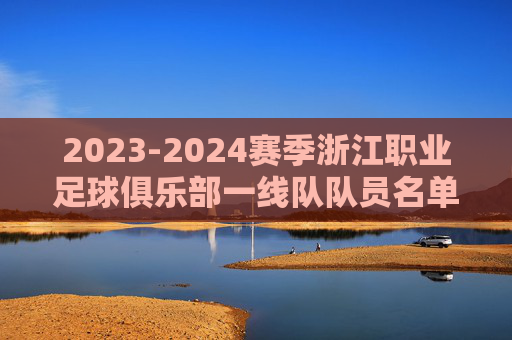 2023-2024赛季浙江职业足球俱乐部一线队队员名单详解，阵容构成与未来展望，2023-2024赛季浙江职业足球俱乐部一线队队员名单详解，阵容构成与未来展望