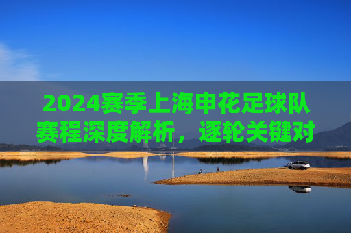 2024赛季上海申花足球队赛程深度解析,逐轮关键对决与赛季节奏展望,2024赛季上海申花足球队赛程深度解析,逐轮关键对决与赛季节奏展望