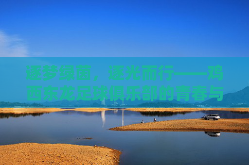 逐梦绿茵，逐光而行——鸡西东龙足球俱乐部的青春与力量，逐梦绿茵，逐光而行——鸡西东龙足球俱乐部的青春与力量
