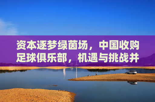资本逐梦绿茵场,中国收购足球俱乐部,机遇与挑战并存的时代图景