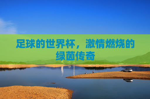 足球的世界杯,激情燃烧的绿茵传奇