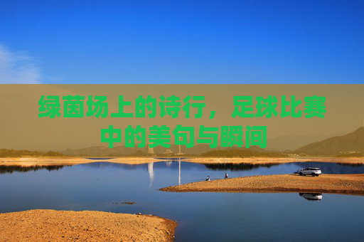 绿茵场上的诗行,足球比赛中的美句与瞬间