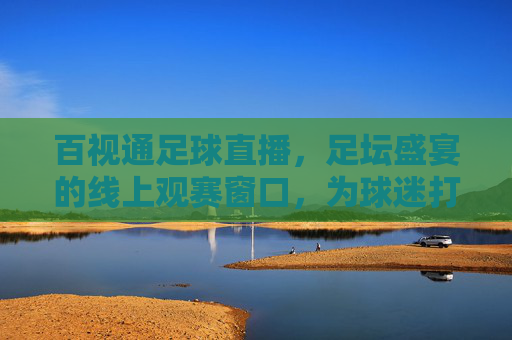 百视通足球直播,足坛盛宴的线上观赛窗口,为球迷打造沉浸式体验