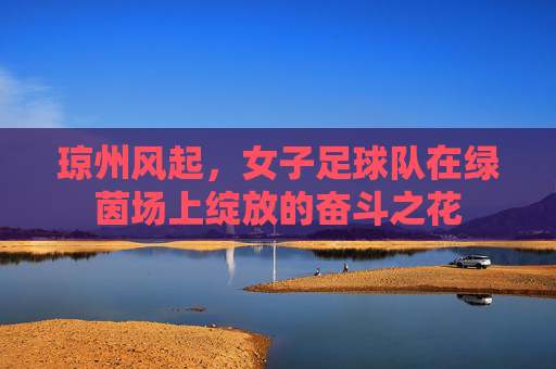 琼州风起,女子足球队在绿茵场上绽放的奋斗之花